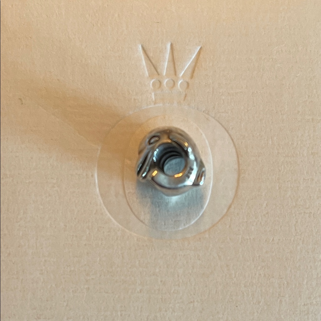 Dolphin Charm